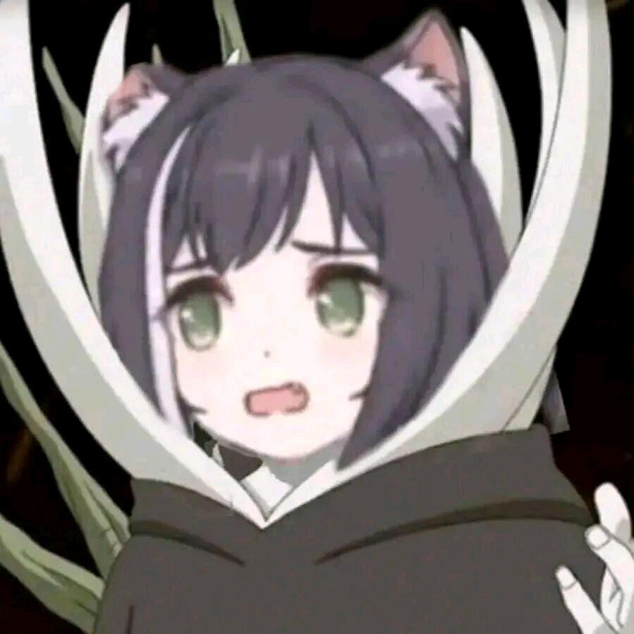 直男季