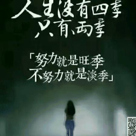 精英远方