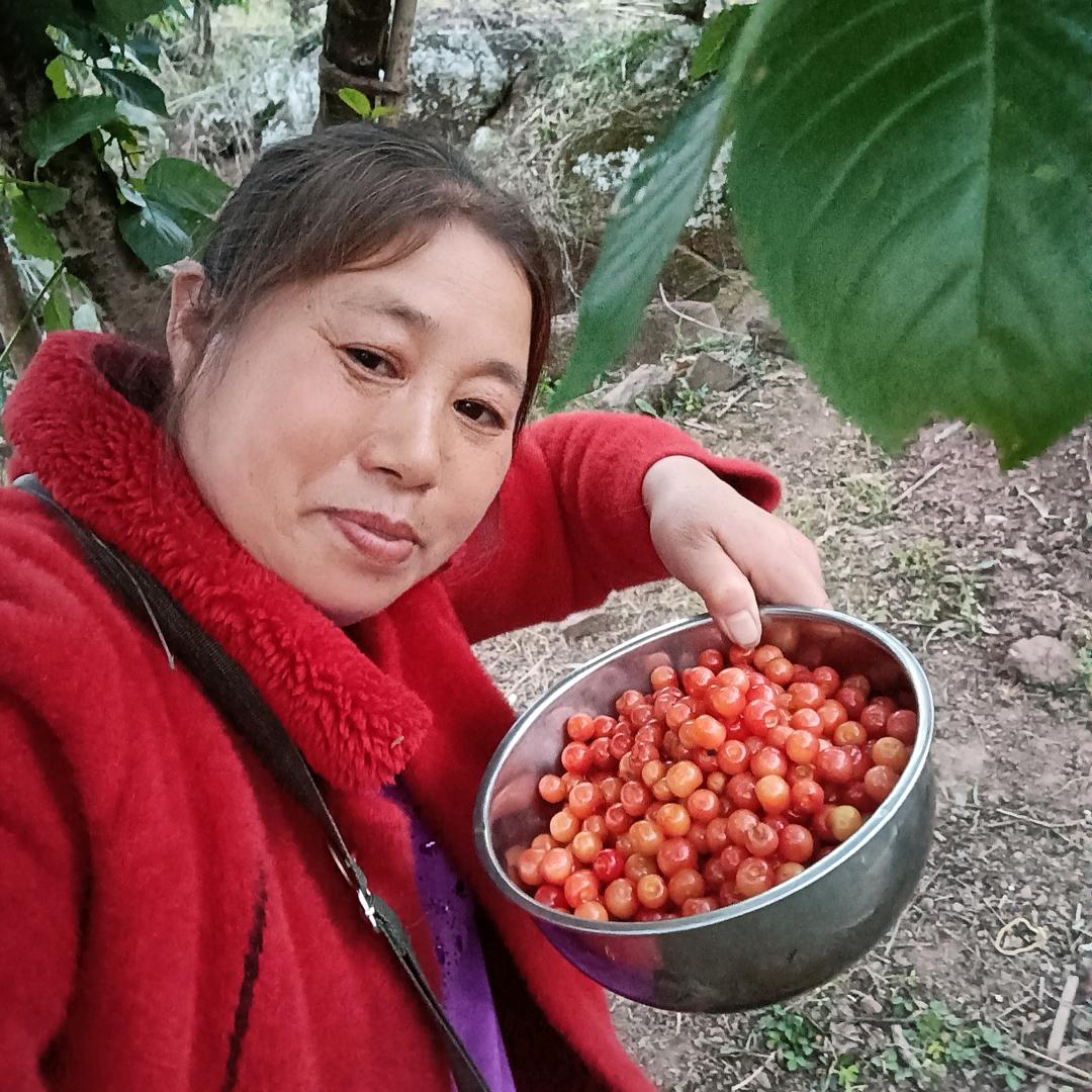 何家二姐