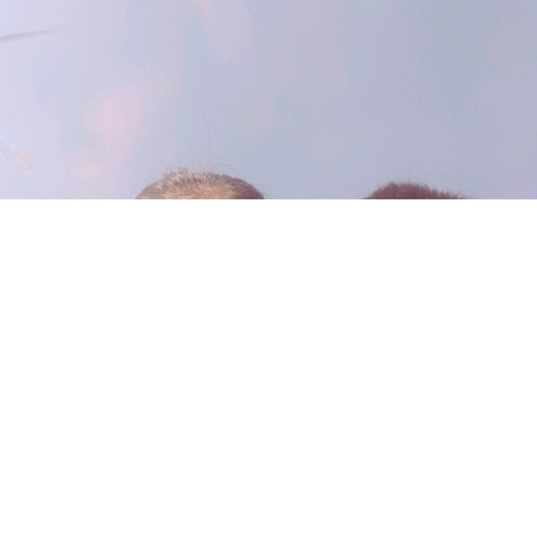 满春