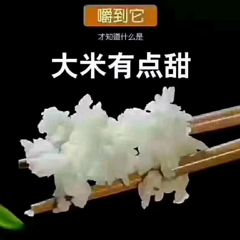 尚特洛夫斯基