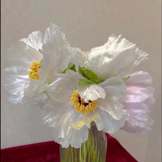 小米粒