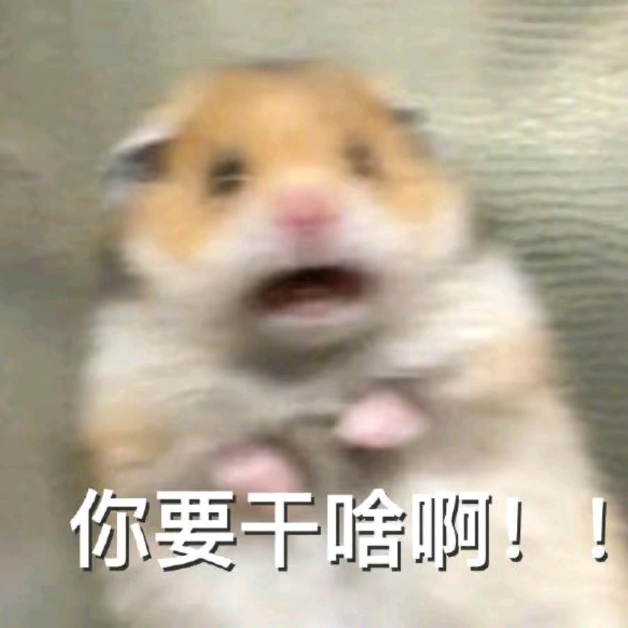 正正好