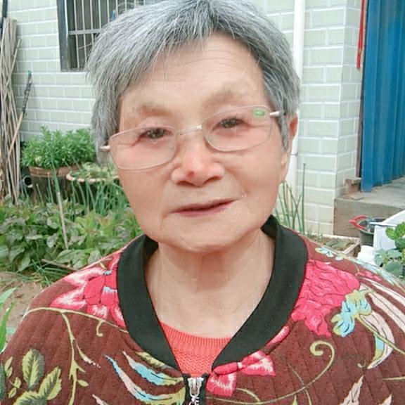博博奶奶（每晚8：20开播）