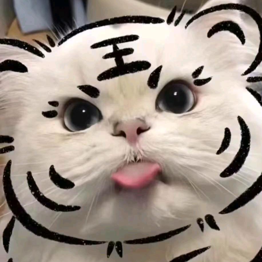 当我娶过她