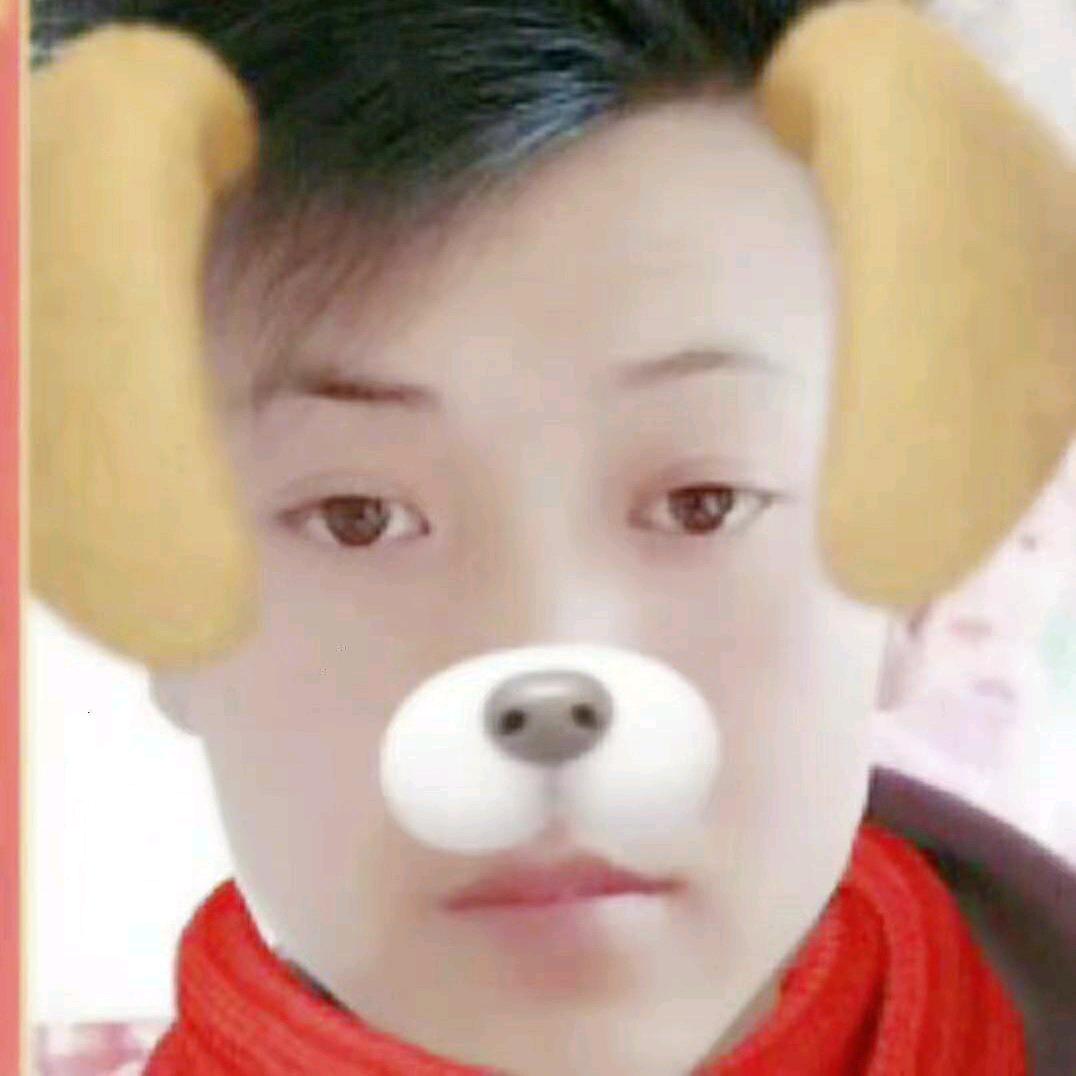 一生只为遇见你