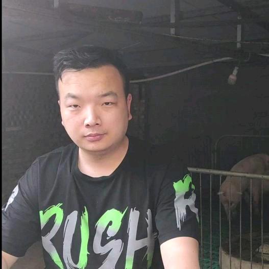 猪太太养好猪张成