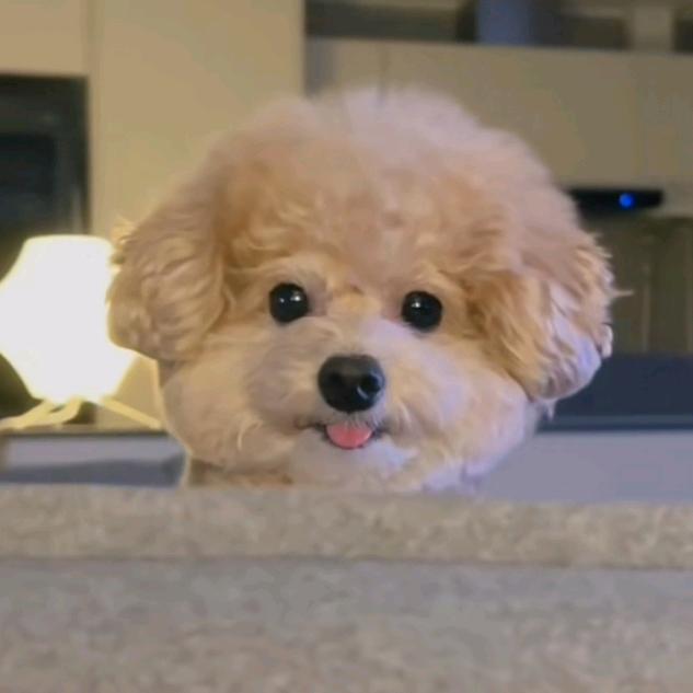 觅觅   The app  aoaoa