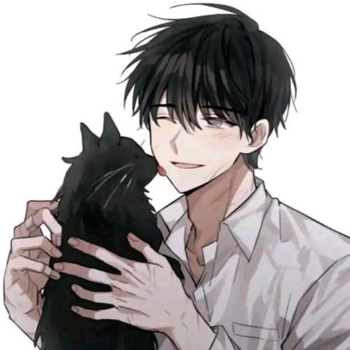 房东の猫（好物分享）