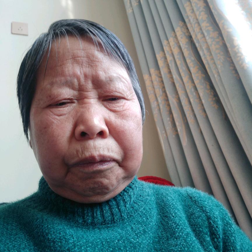 林木