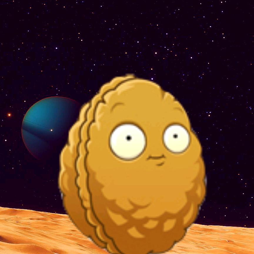 宇宙中的小坚果