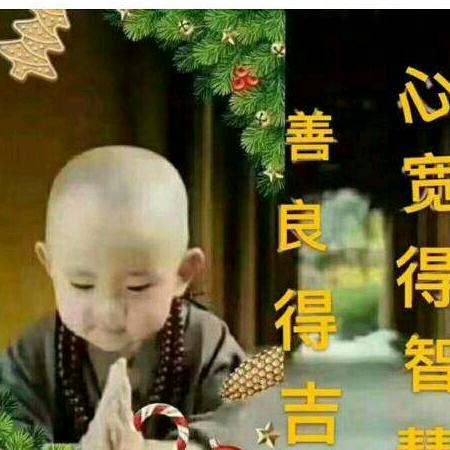 情感：24：