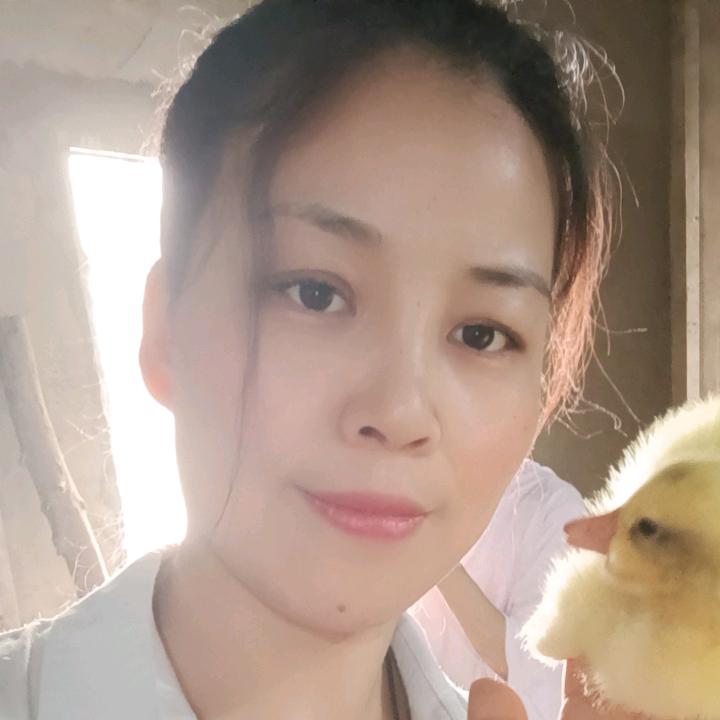 天歌鹅业《鹅大姐》