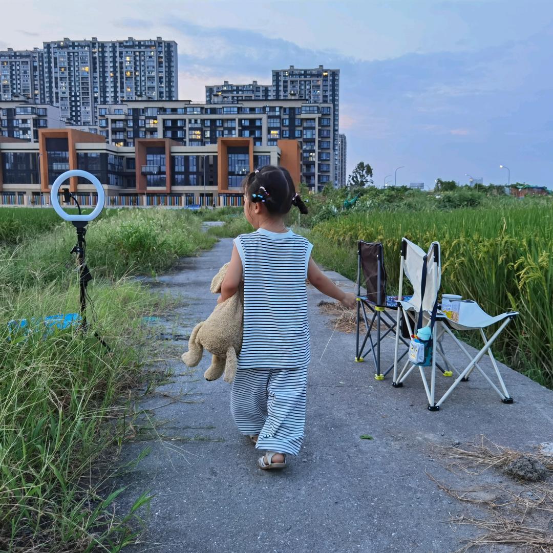 大树