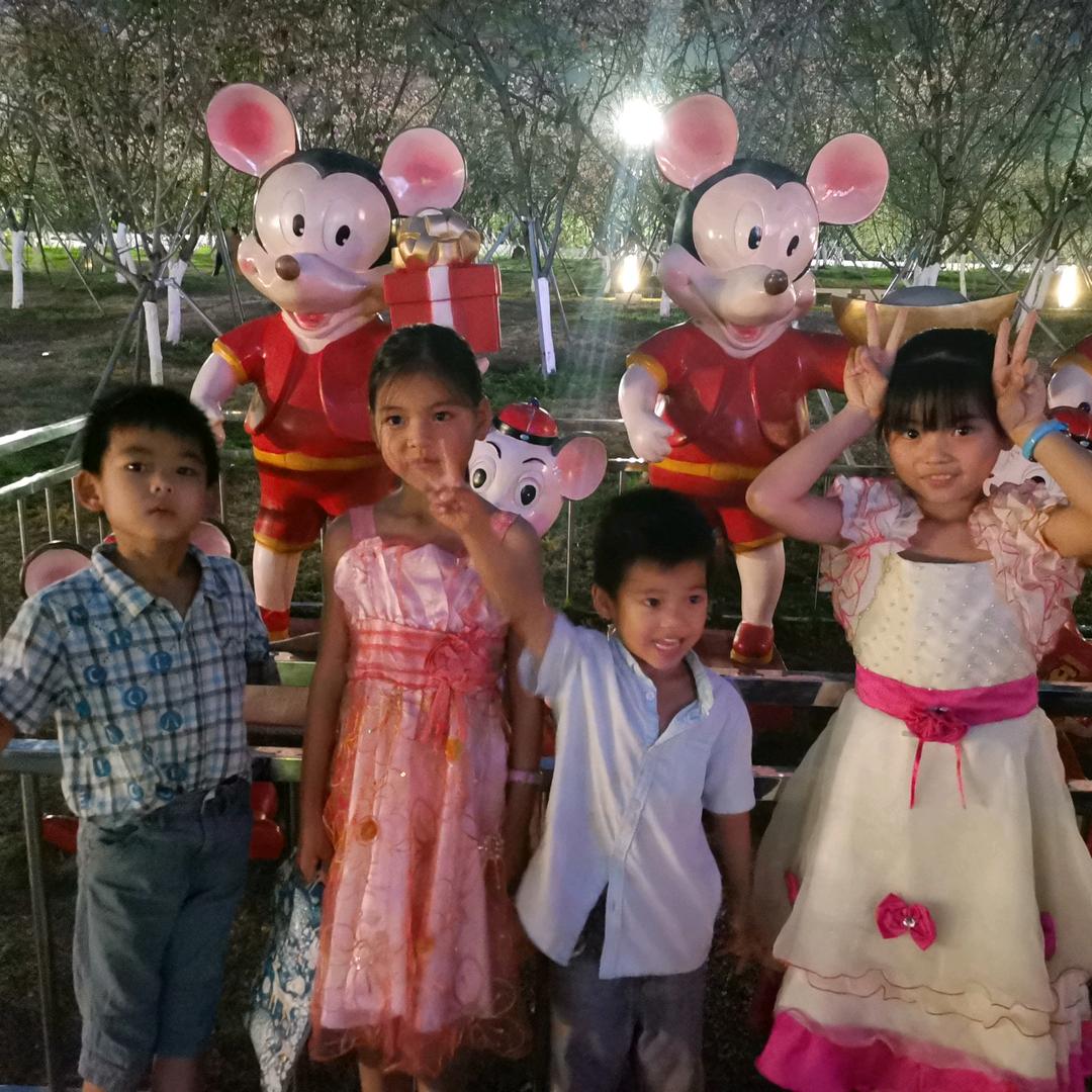 化州市新安大坡横岭下村鸡档