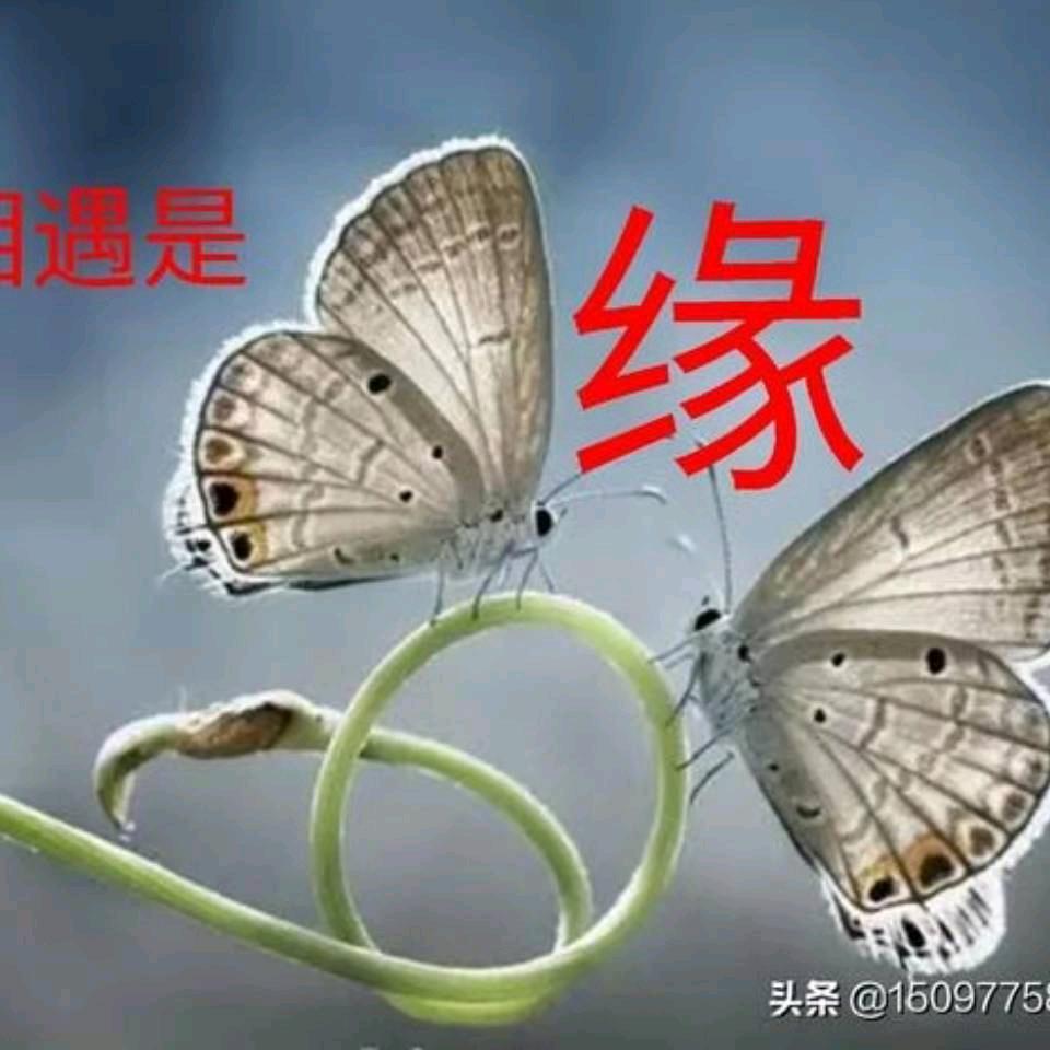 梦儿转身有你