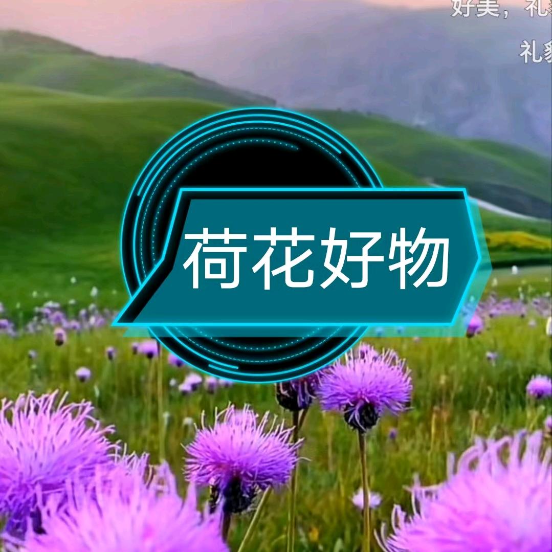 荷花好物