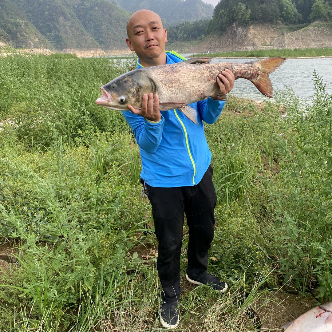 春哥钓鱼