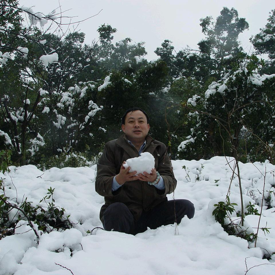 陕南雁