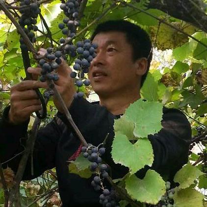 鱼乐无穷