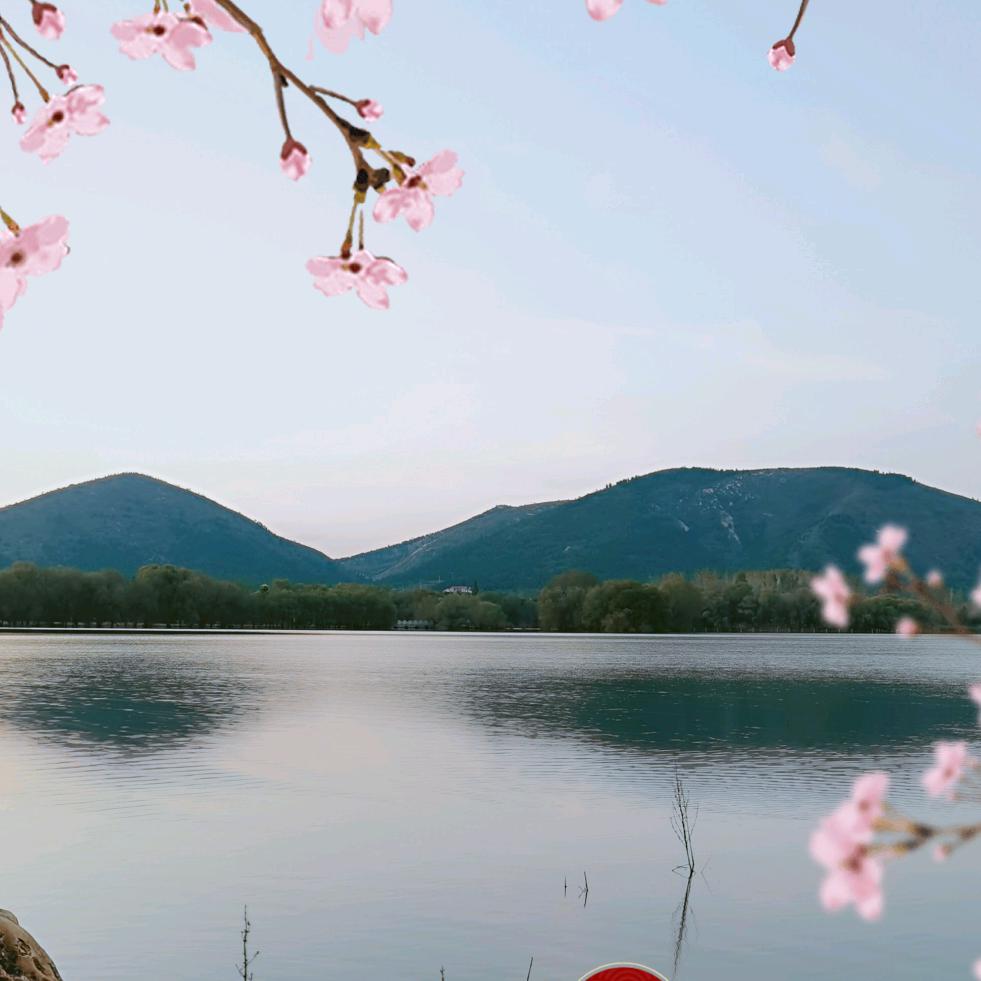 🐴🌈🌈88982166