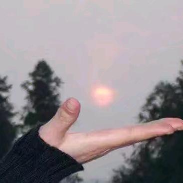 布尘子