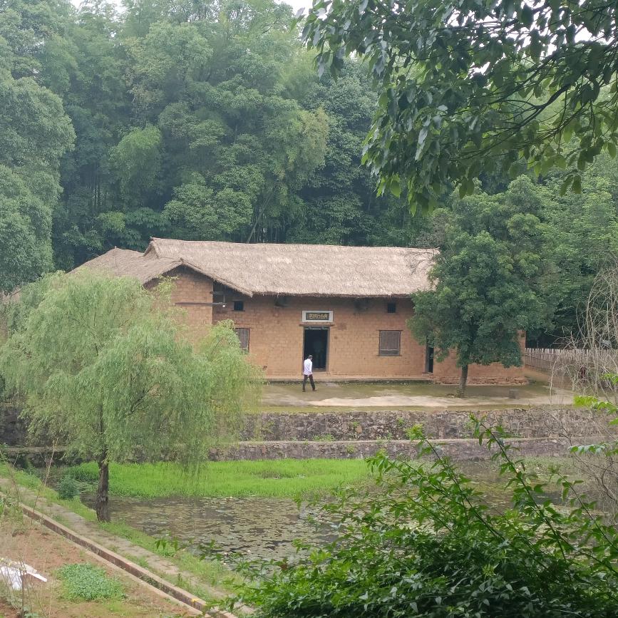 爱可可