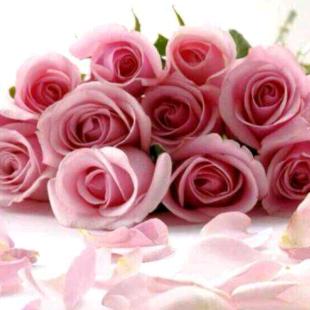 海纳百川，有容乃大/