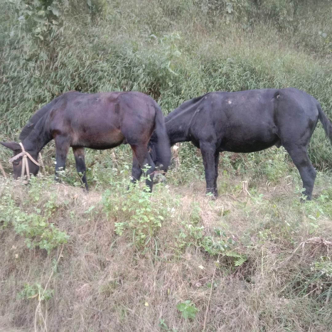 要么一生=要么陌生
