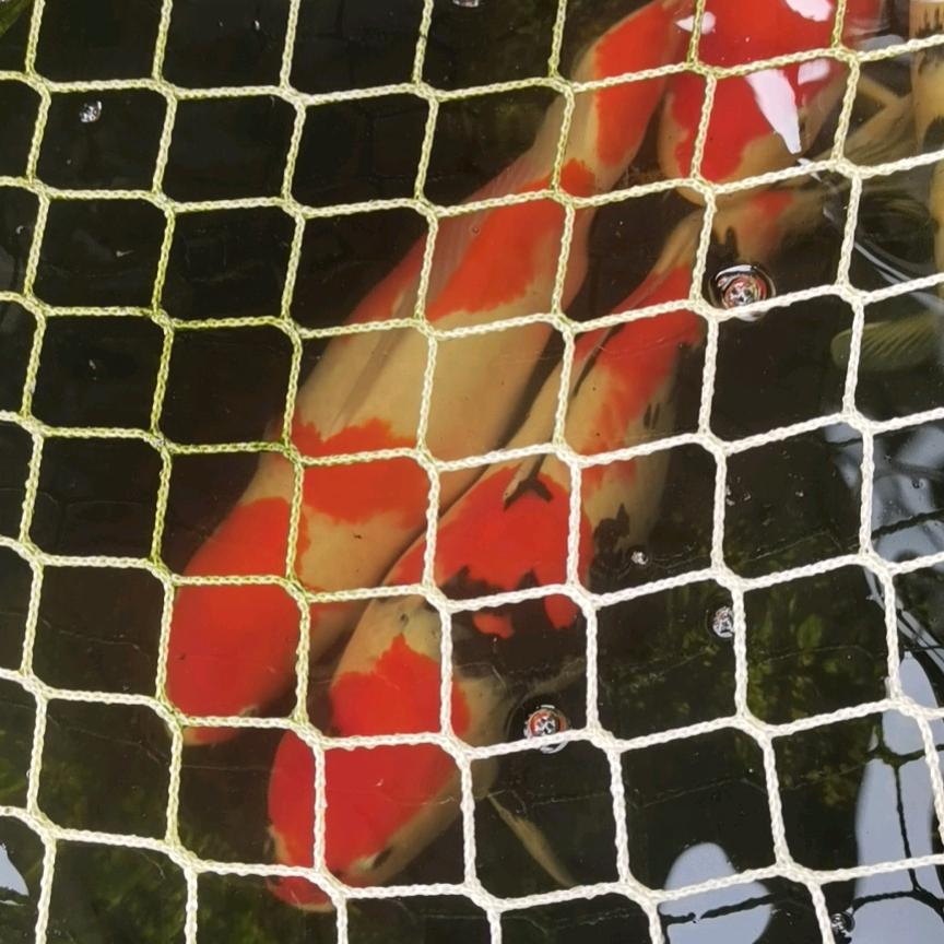 随風