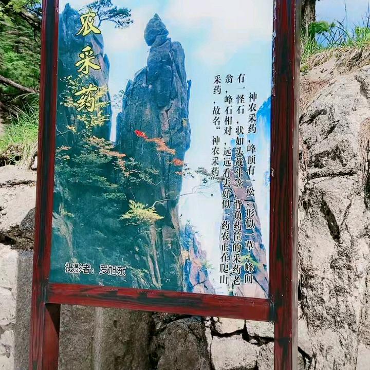 用户4125586398892