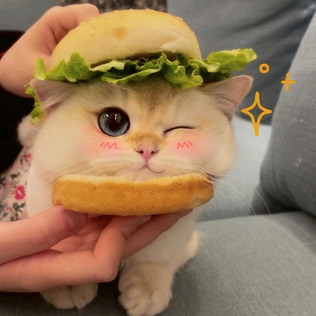 lisa冬冬