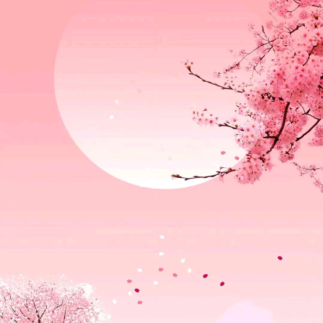 两~帅宝