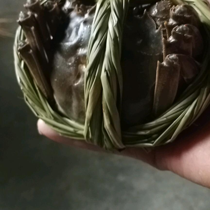 水中求财