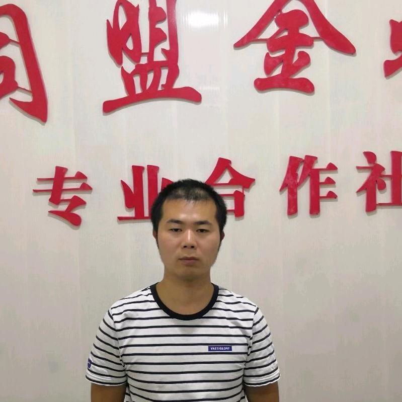 同盟金蝉