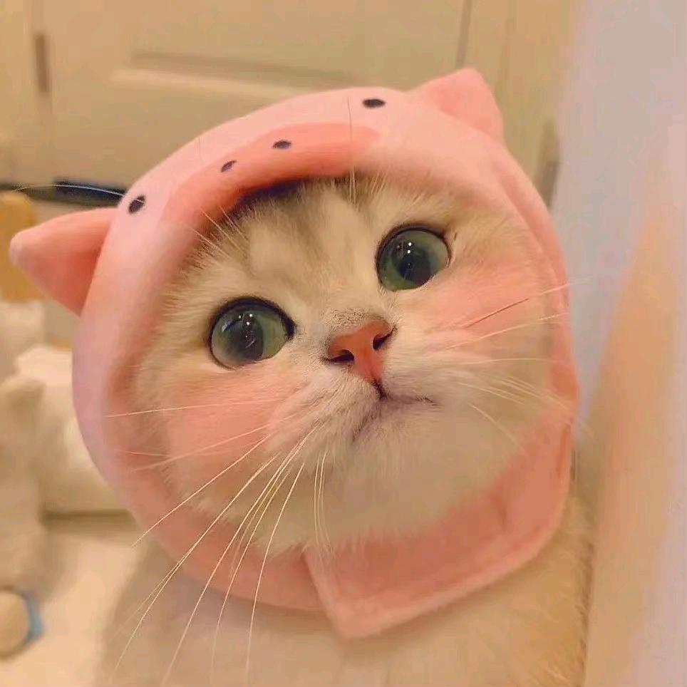 小五