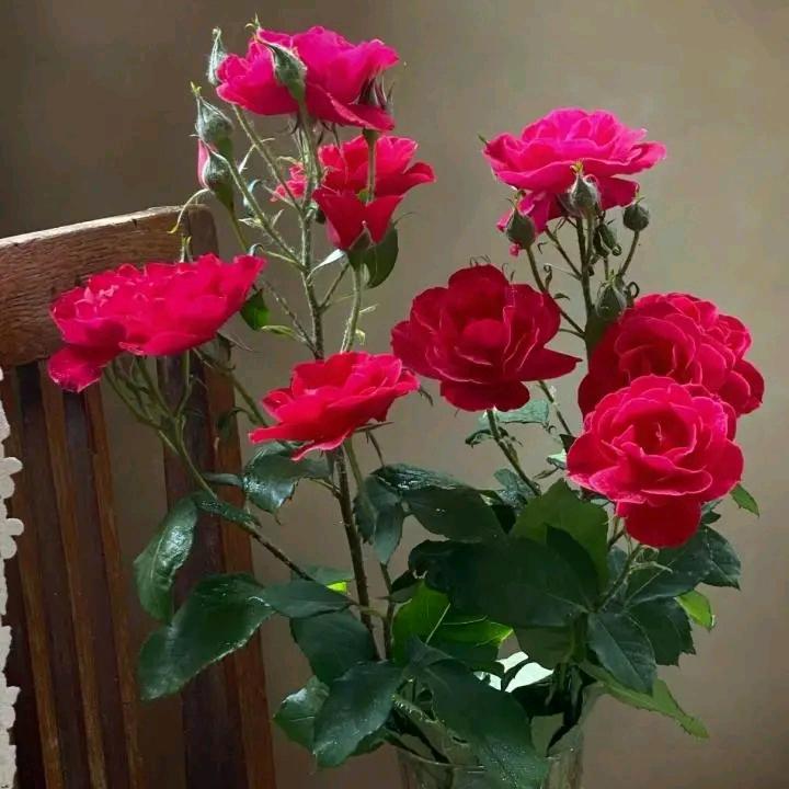 ，@轻风淡雨。@