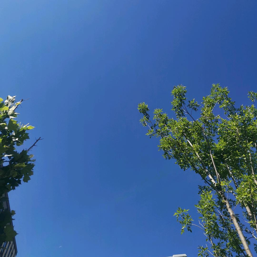 湛蓝