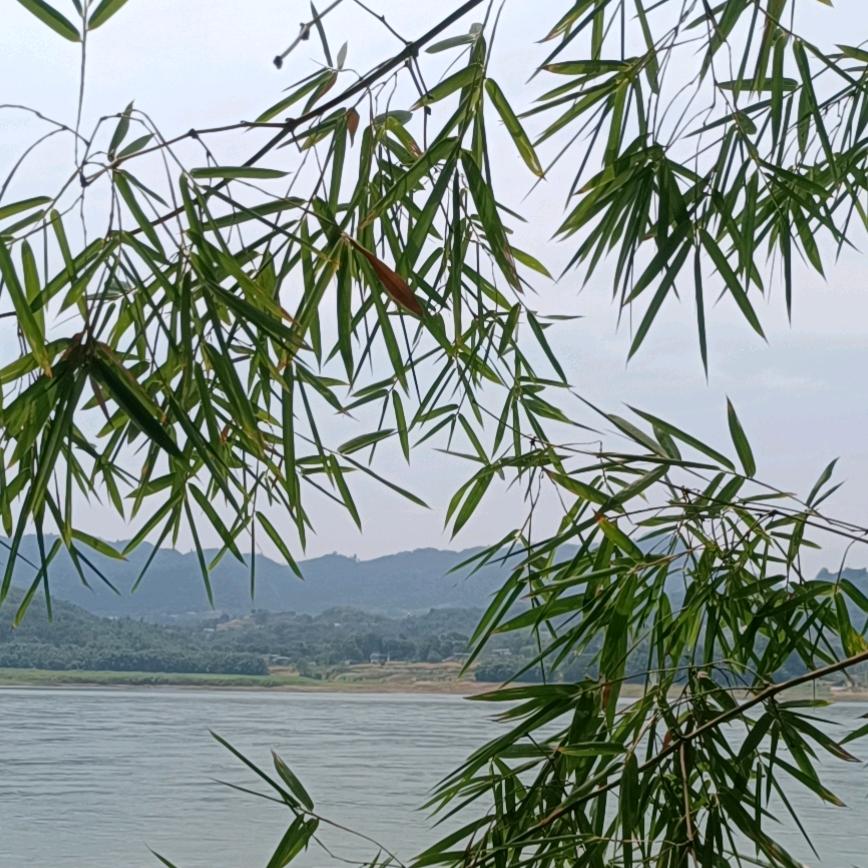 行云流水.收放自如.