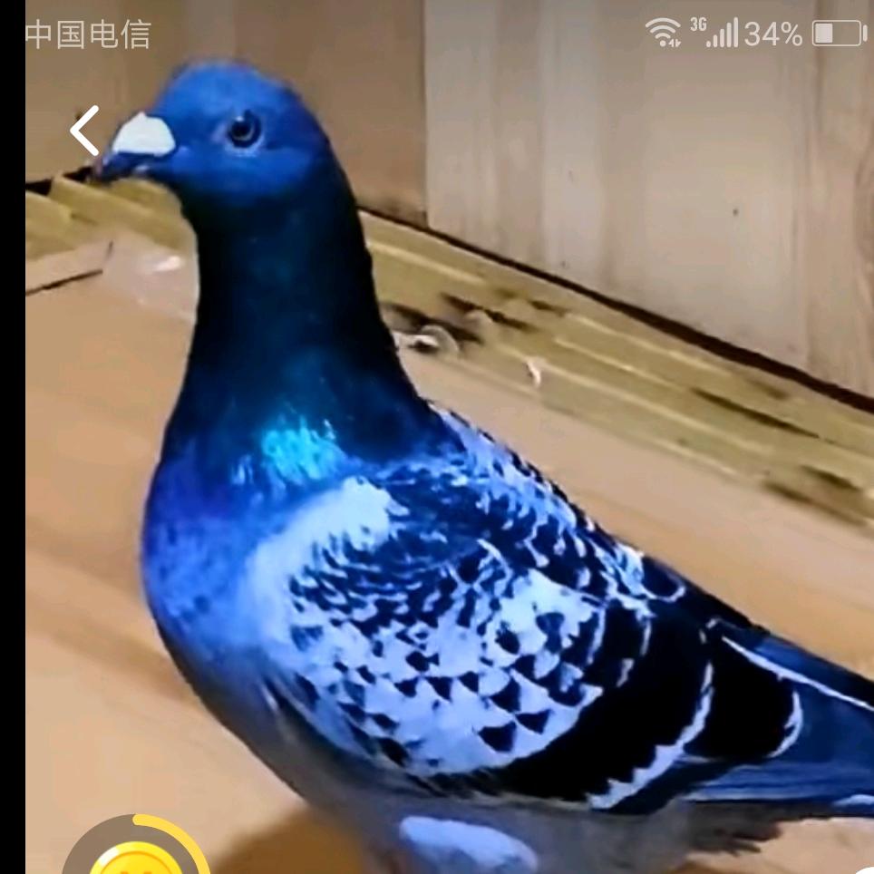 丝路花雨☔️