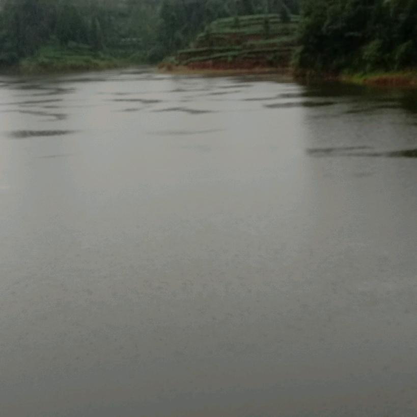 雨后的彩虹