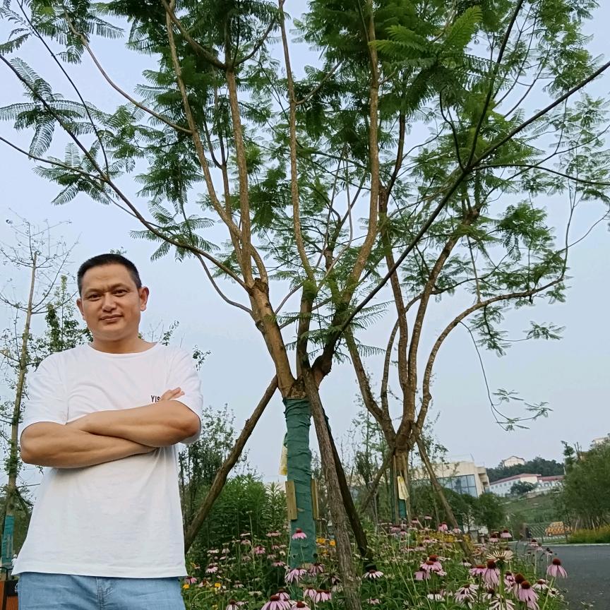 微风拂过
