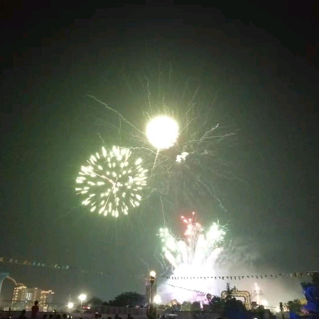 别无选择