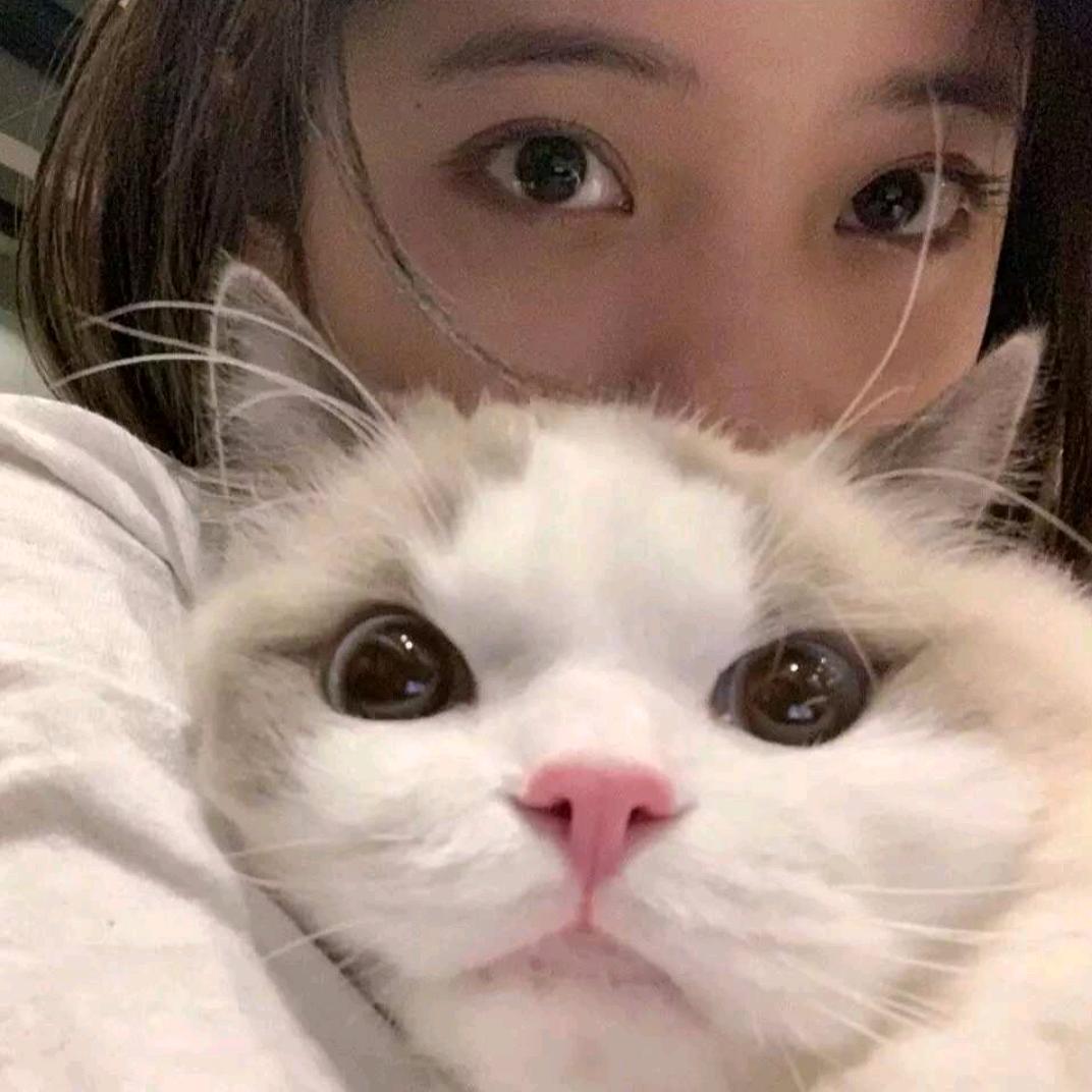 ༊ღ᭄过客ღ᭄