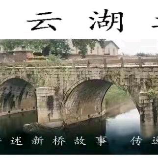 大山虾龙