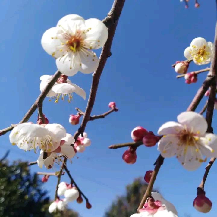 🌞阳光撒满天🌞