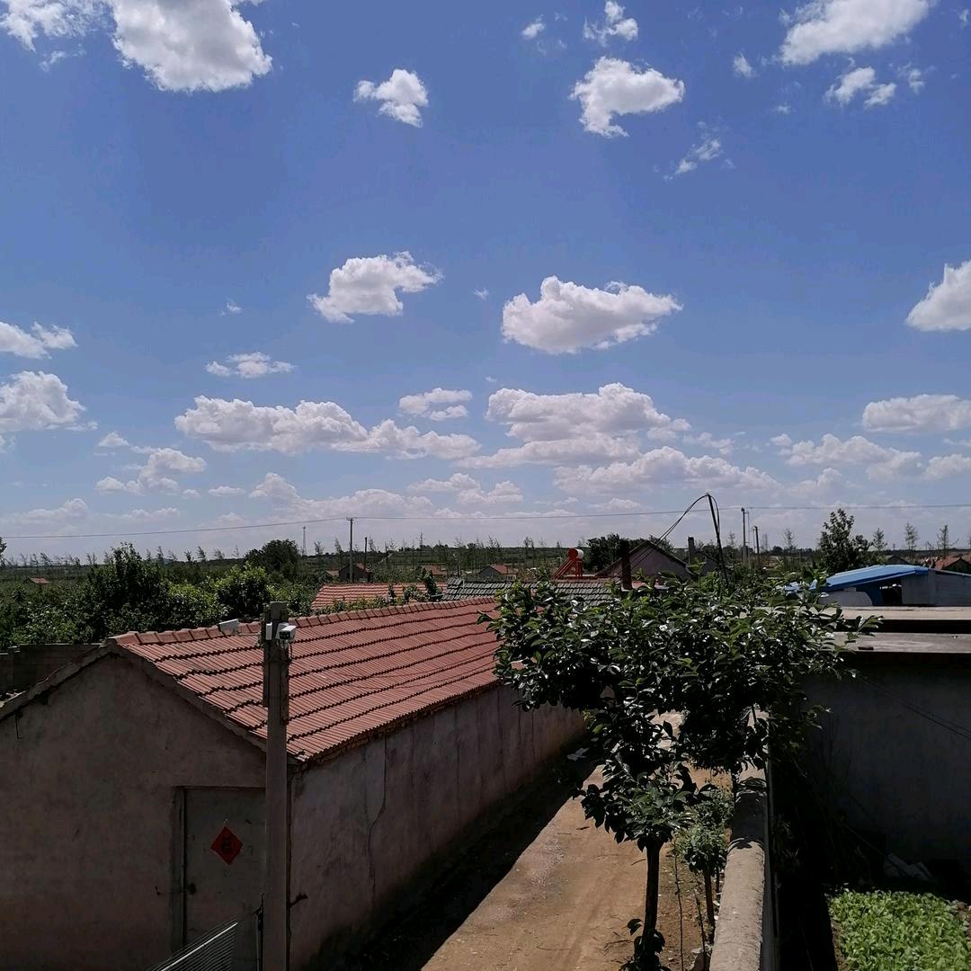 美丽情院