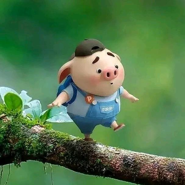 八戒小妖影视💃