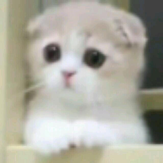 雨渔欲与鱼语