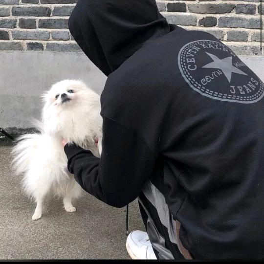 燕子-.-